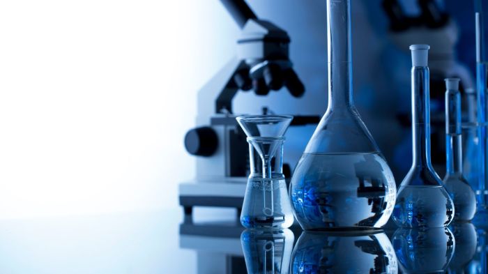 7 Science Myths that People Still Believe Today